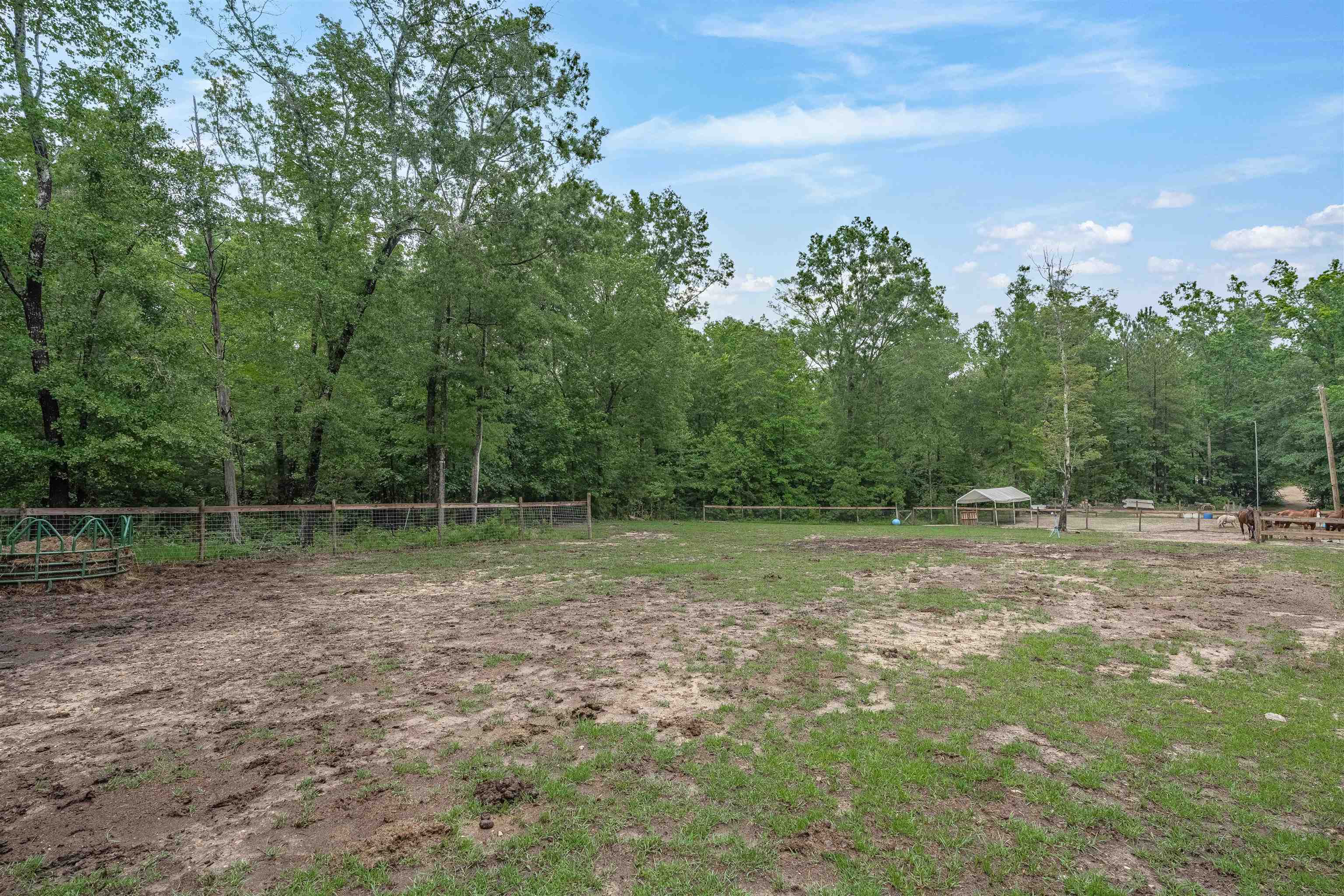 565 Portia Road Blythewood, SC 29016 - Photo 53 of 70
