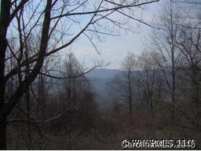 Lot 53 Hunters Ridge Road Canton, NC 28716 - Photo 2 of 9