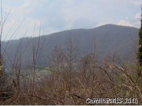 Lot 53 Hunters Ridge Road Canton, NC 28716 - Photo 3 of 9