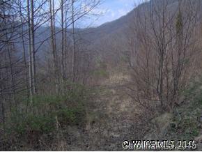 Lot 53 Hunters Ridge Road Canton, NC 28716 - Photo 4 of 9 a view of a dry yard
