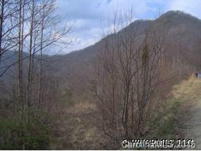 Lot 53 Hunters Ridge Road Canton, NC 28716 - Photo 5 of 9 a view of a dry yard with trees