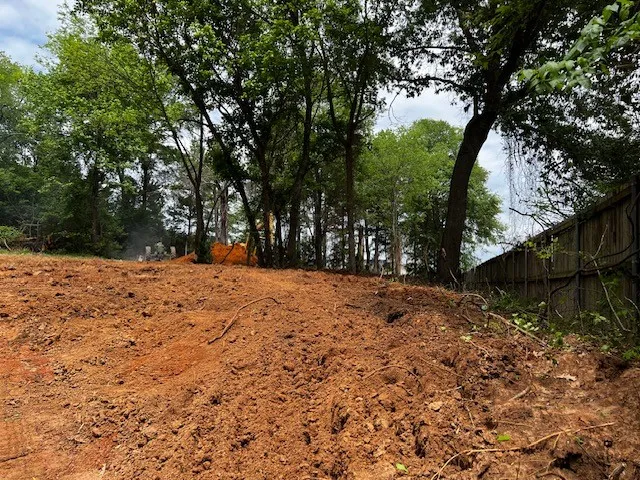 a view of outdoor space yard and trees