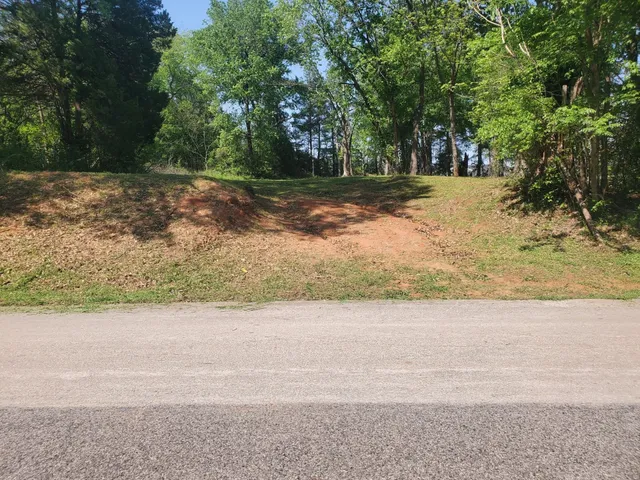 a view of a trees in a yard