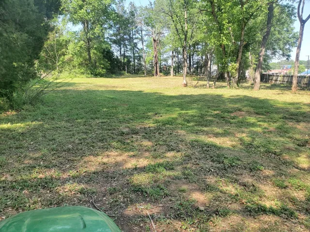 a view of a park with large trees