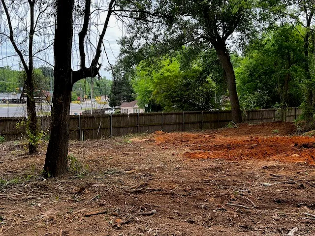 a backyard of a house with lots of green space