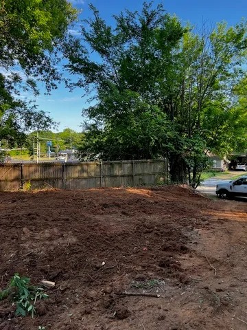 a view of a yard with plants and large trees