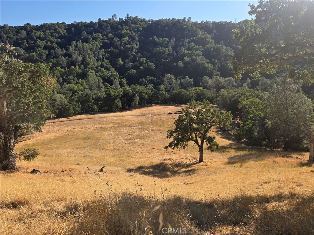 0 Gallegos Ranch Road Paso Robles, CA 93446 - Photo 1 of 1 Gallery Image 1