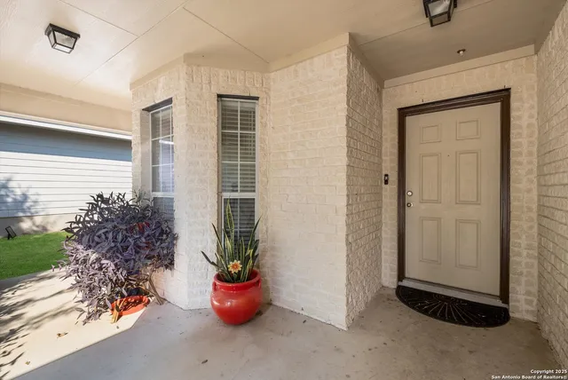 a potted plant sitting in front of a house