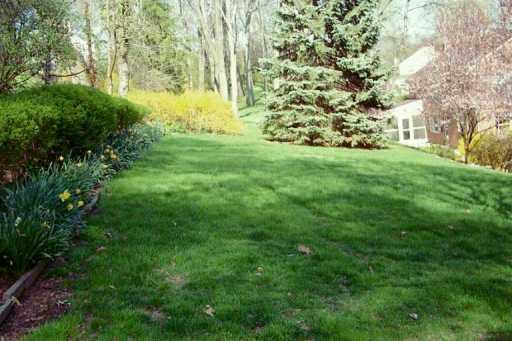 824 Elm Spring Road Mt. Lebanon, PA 15243 - Photo 8 of 8 Gallery Image 8