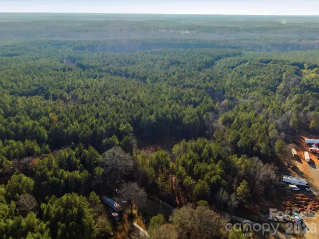 a view of a field with plants and trees
