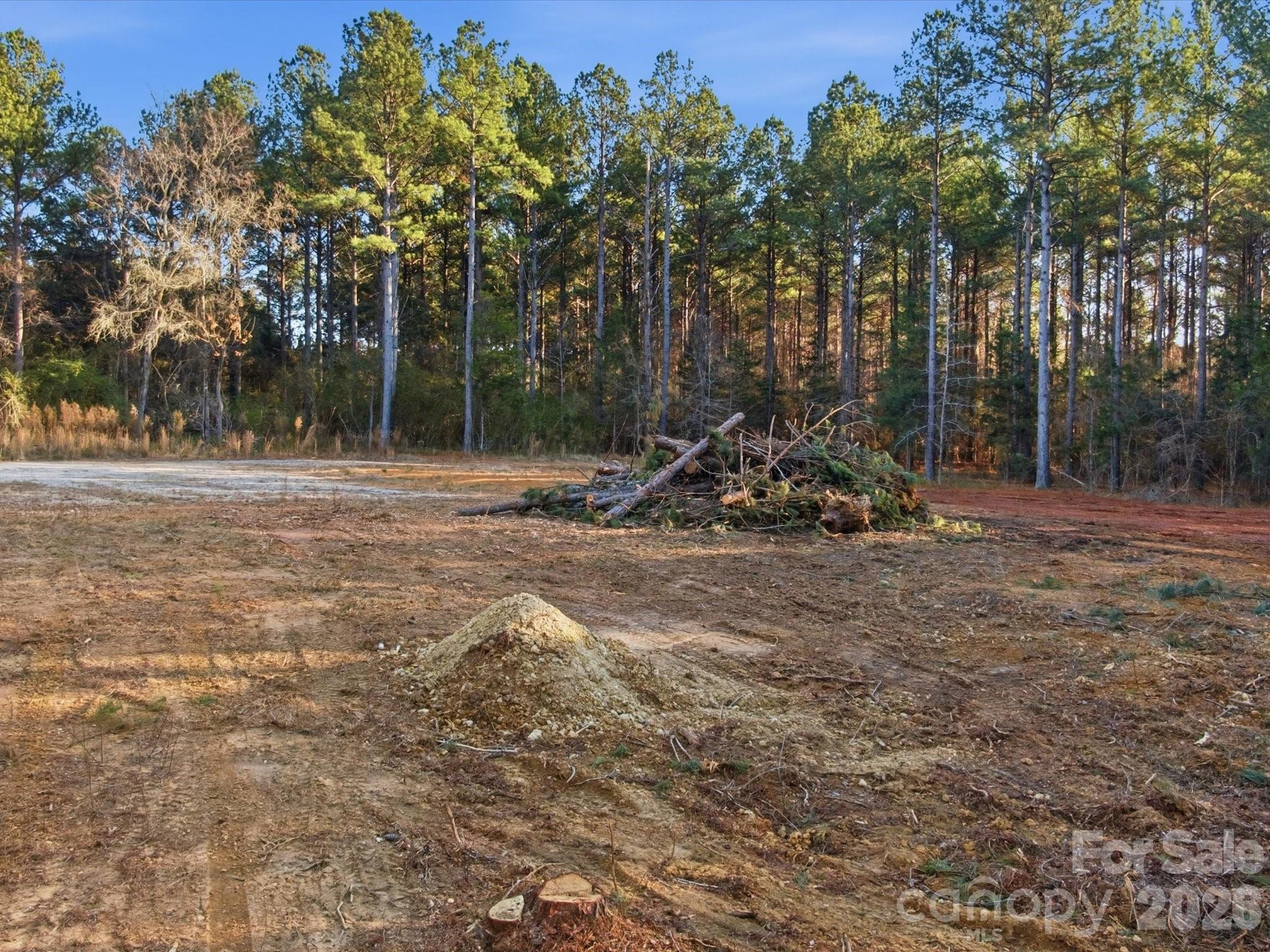 2704 Kee-Moore Drive Chester, SC 29706 - Photo 19 of 41 a view of outdoor space with trees