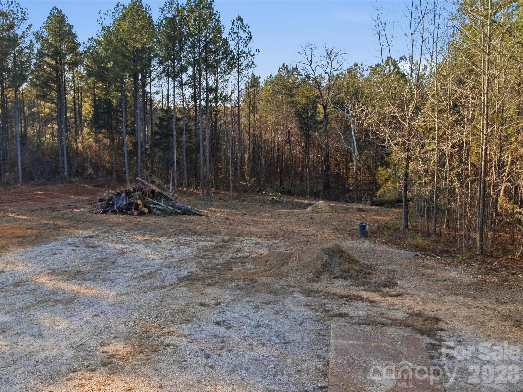 2704 Kee-Moore Drive Chester, SC 29706 - Photo 20 of 43 a view of outdoor space with trees