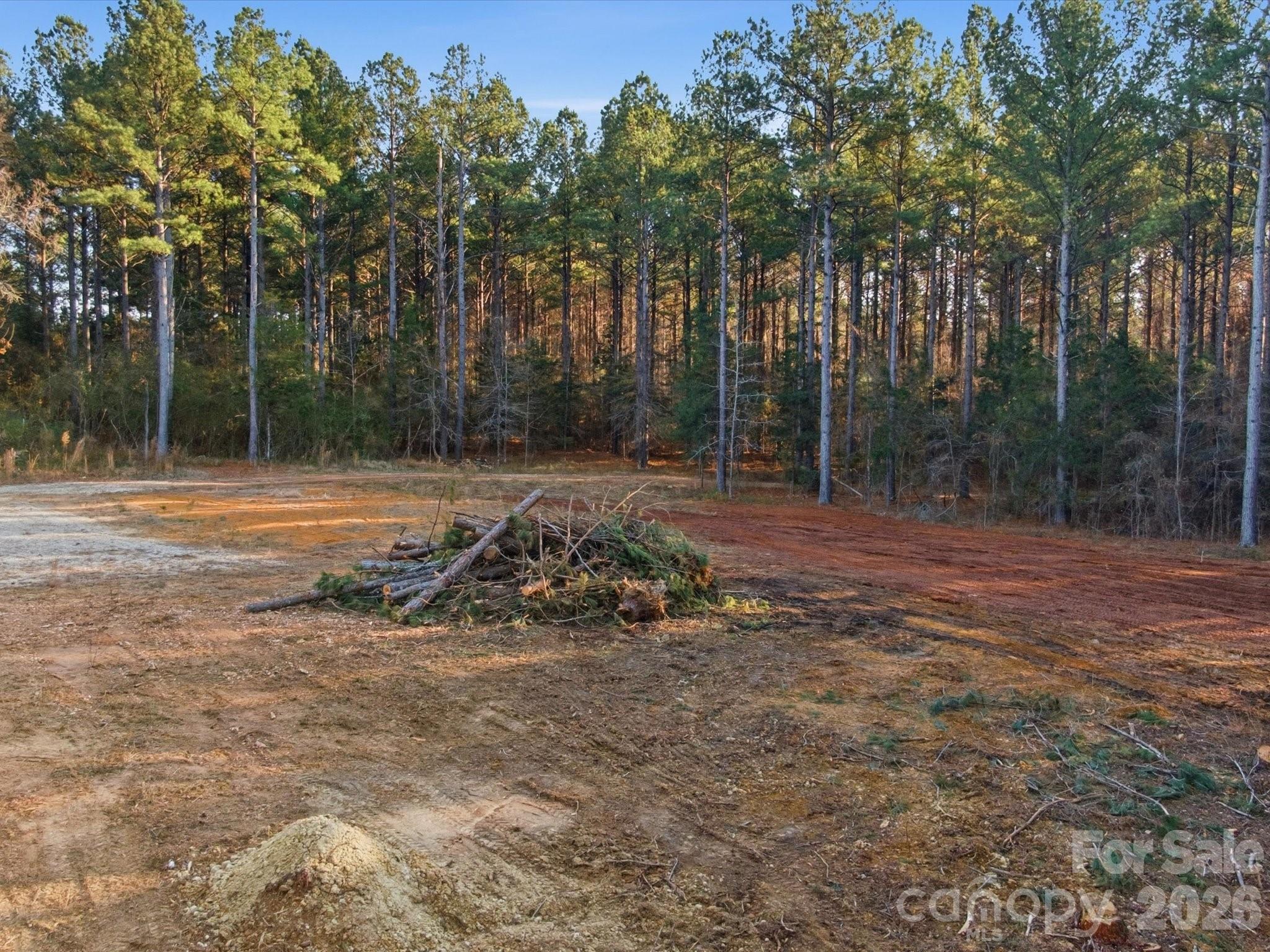 2704 Kee-Moore Drive Chester, SC 29706 - Photo 20 of 41 a view of outdoor space with trees
