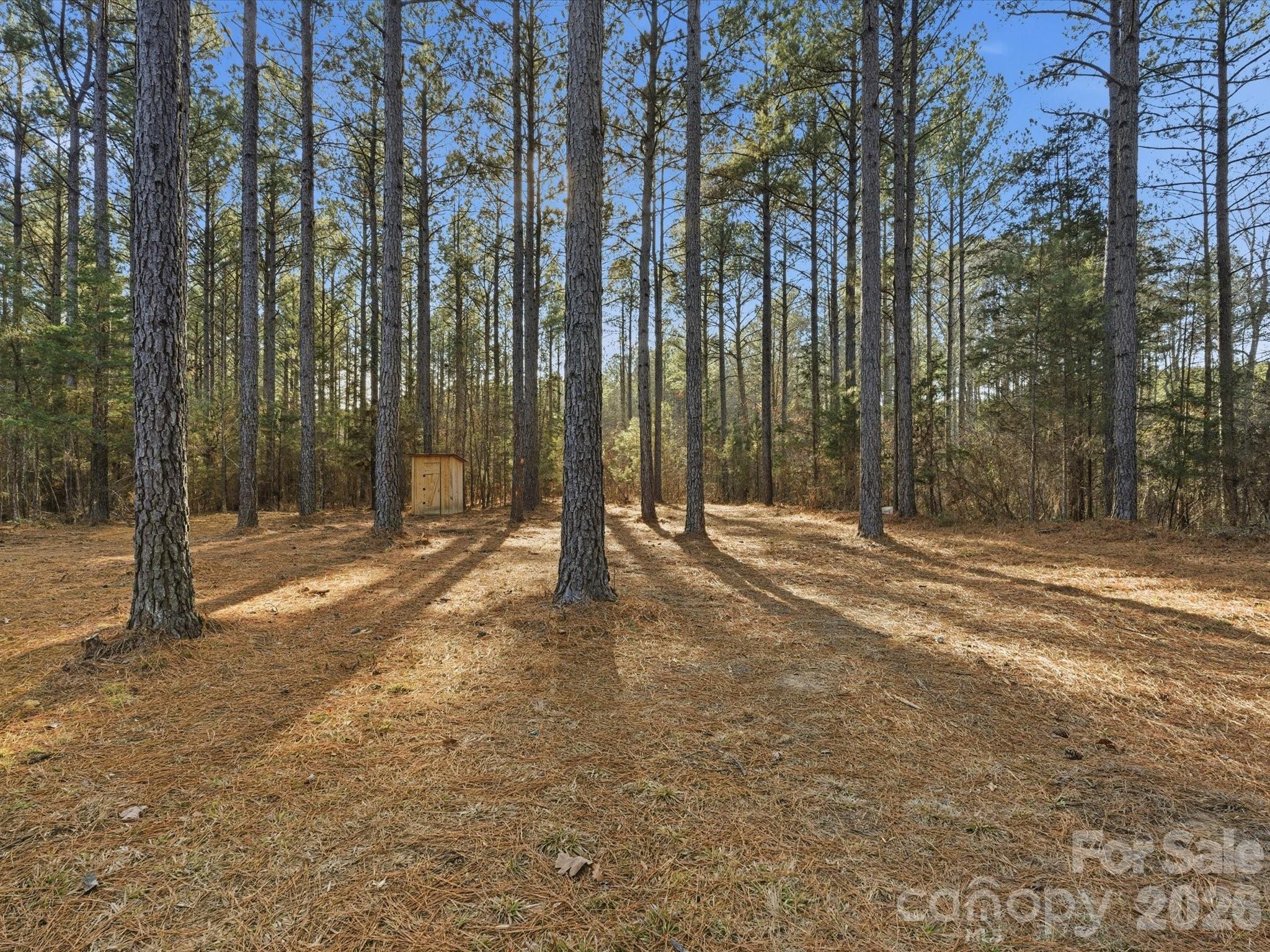 2704 Kee-Moore Drive Chester, SC 29706 - Photo 29 of 43 a view of backyard with trees