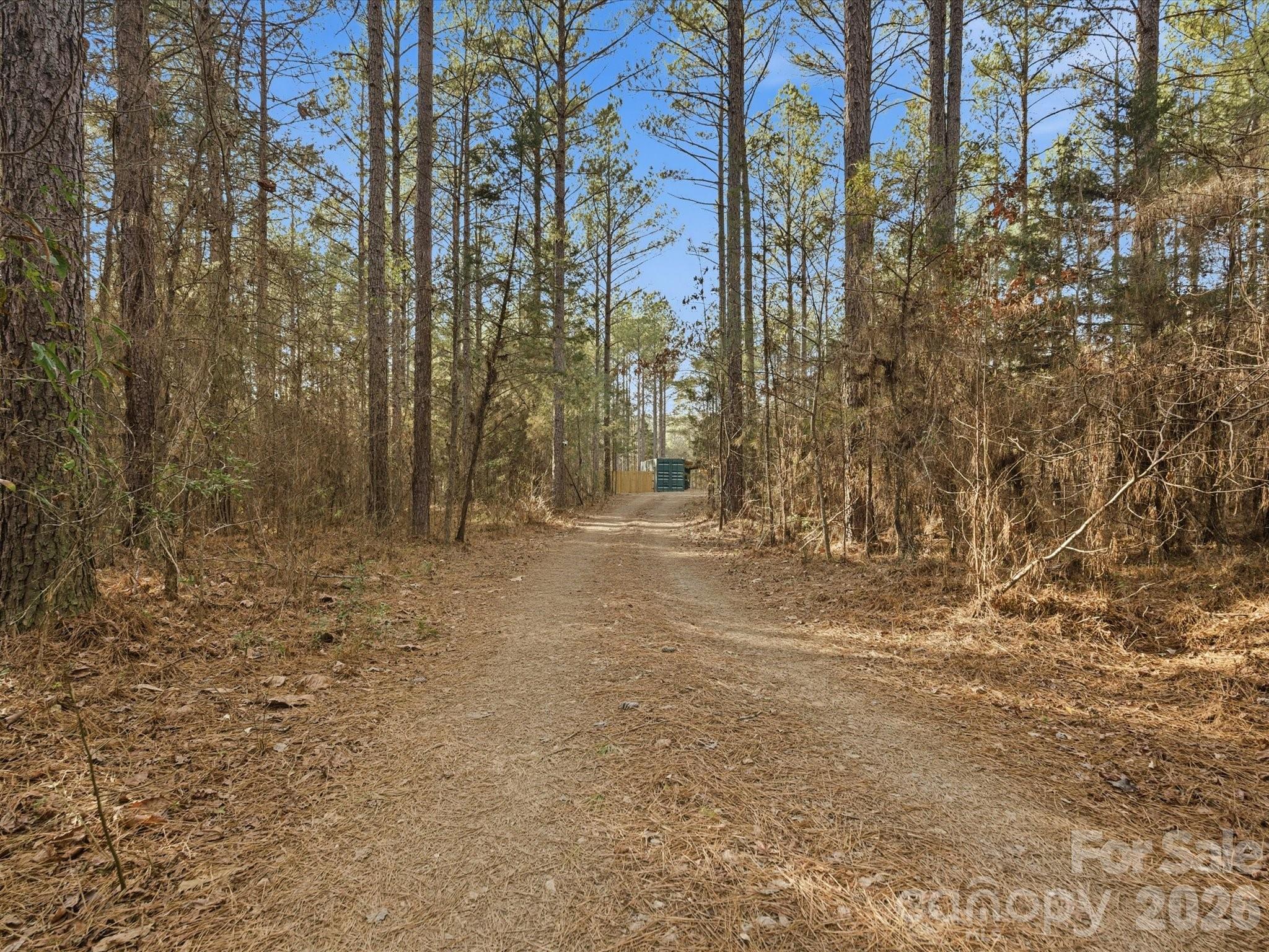 2704 Kee-Moore Drive Chester, SC 29706 - Photo 40 of 41 a view of a yard with trees