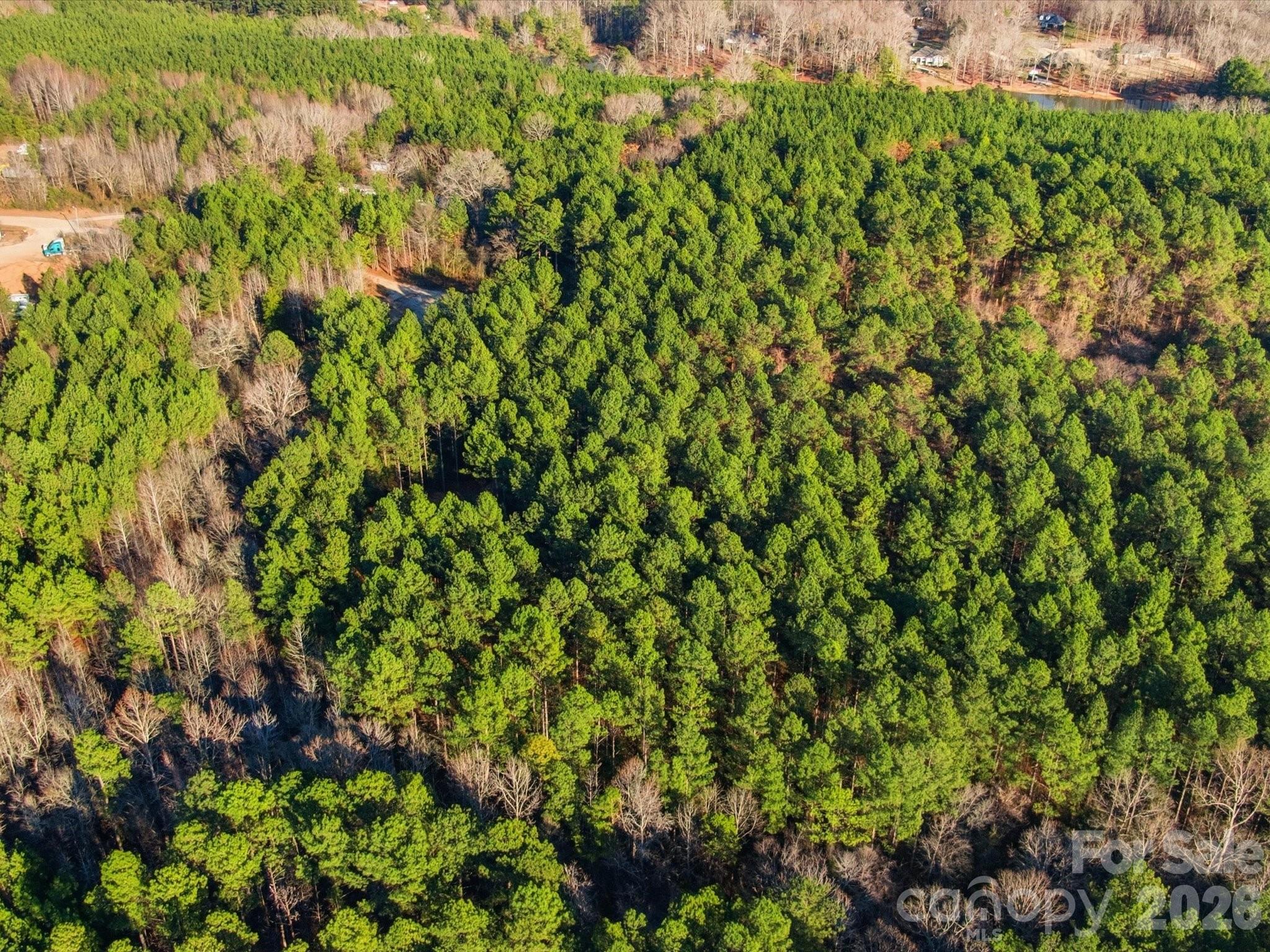 2704 Kee-Moore Drive Chester, SC 29706 - Photo 9 of 43 a view of a lush green field