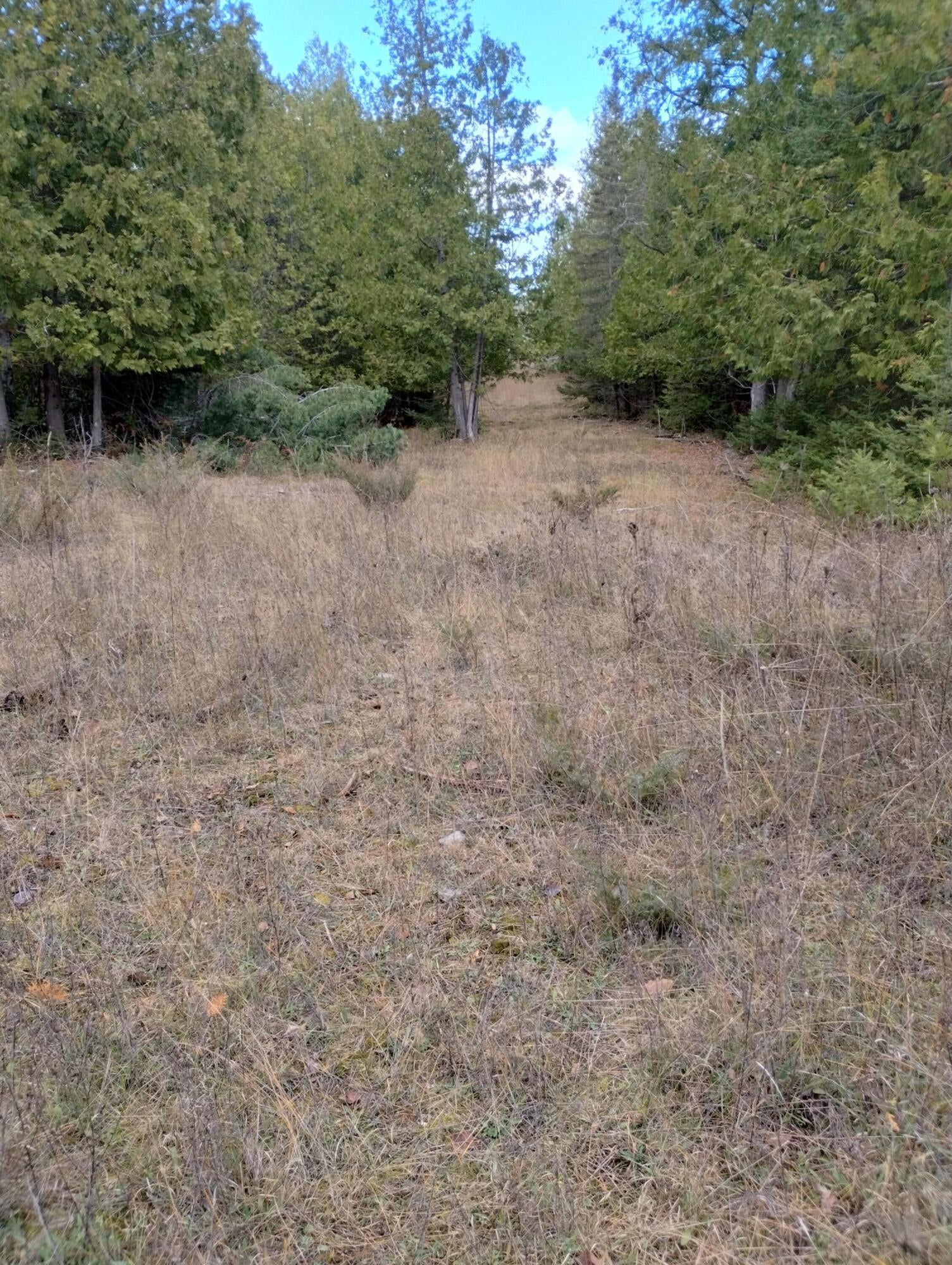 Nhn West Hamilton Road Alpena, MI 49707 - Photo 19 of 44 Gallery Image 19