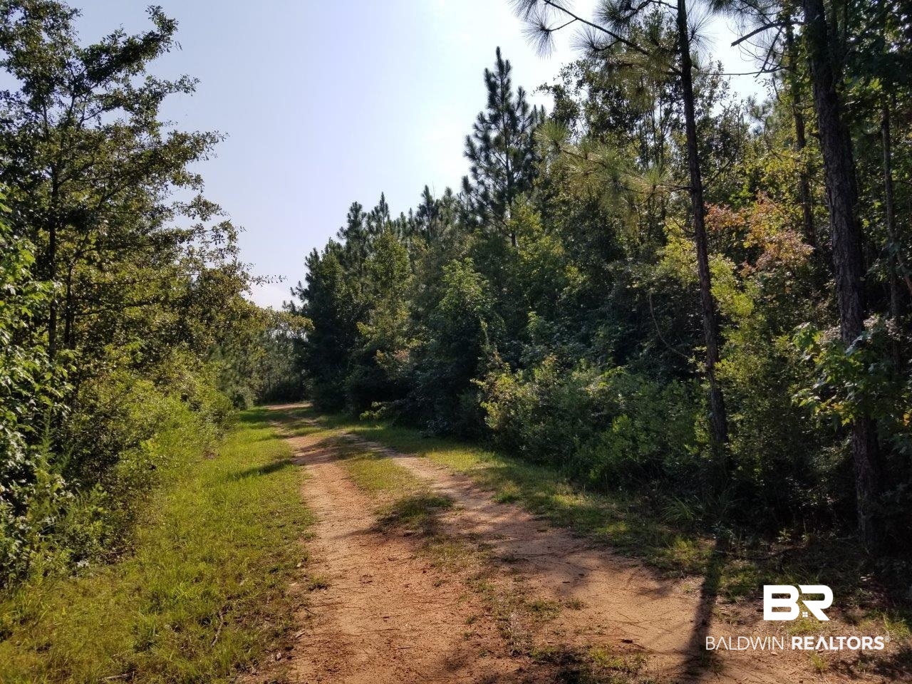 0 Jerkins Loop Atmore, AL 36502 - Photo 6 of 50