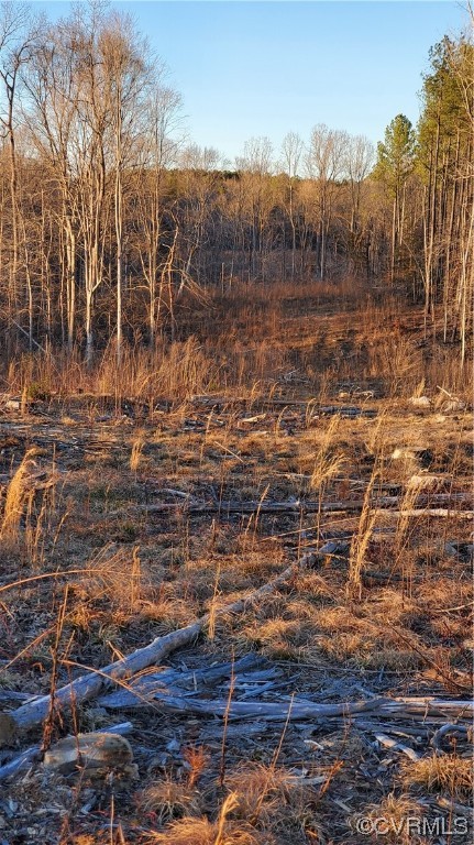 0 Forest Grove Road Sandy Hook, VA 23153 - Photo 4 of 9 a view of mountain with trees