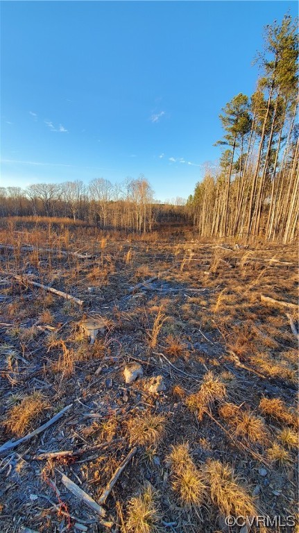 0 Forest Grove Road Sandy Hook, VA 23153 - Photo 5 of 9 a view of a lake view