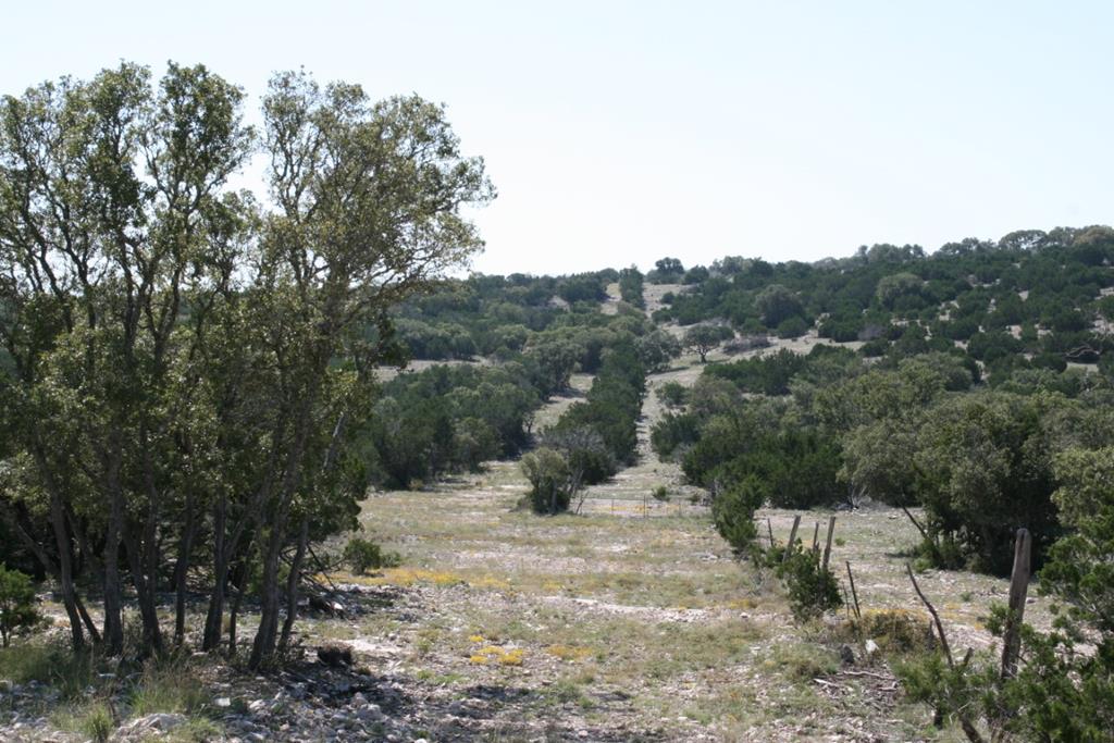 Lot 10 Sd 16010, Unit 10 Rocksprings, TX 78880 - Photo 1 of 1 Main View