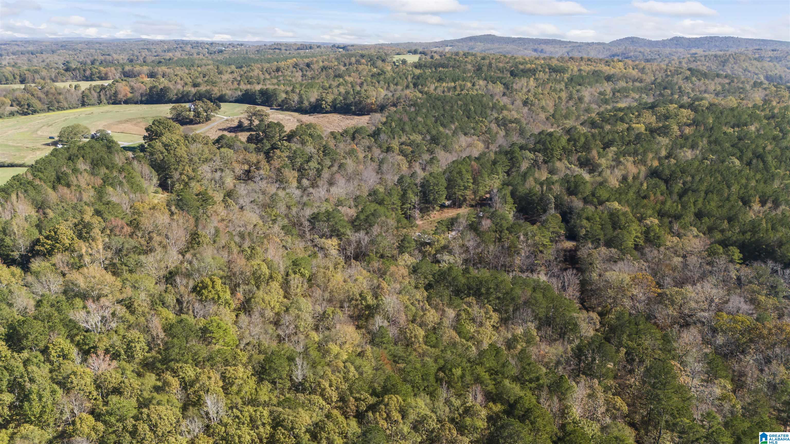 1078 Chamblee Mill Road Blountsville, AL 35031 - Photo 15 of 25