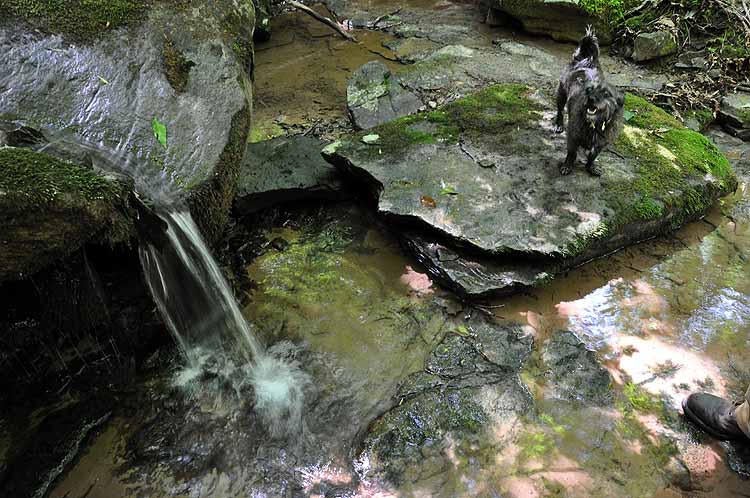 100 Ramp Road Sandstone, WV 25985 - Photo 35 of 55 Gallery Image 35