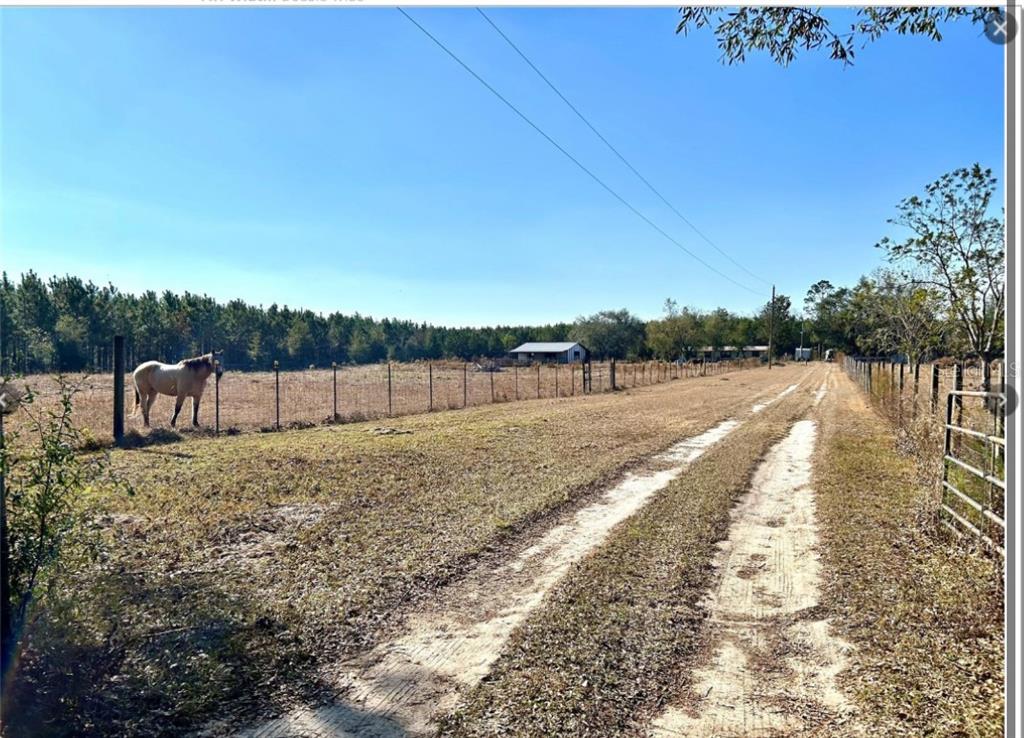 11475 167th Road Live Oak, FL 32060 - Photo 3 of 15 a view of a pathway with a wrought fence