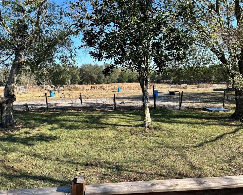 11475 167th Road Live Oak, FL 32060 - Photo 5 of 15 a view of backyard with green space
