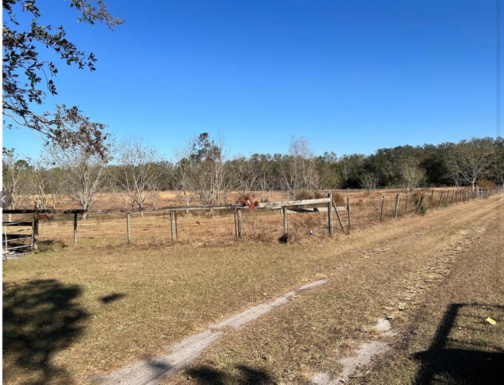 11475 167th Road Live Oak, FL 32060 - Photo 6 of 15 a view of a dry yard with trees in the background