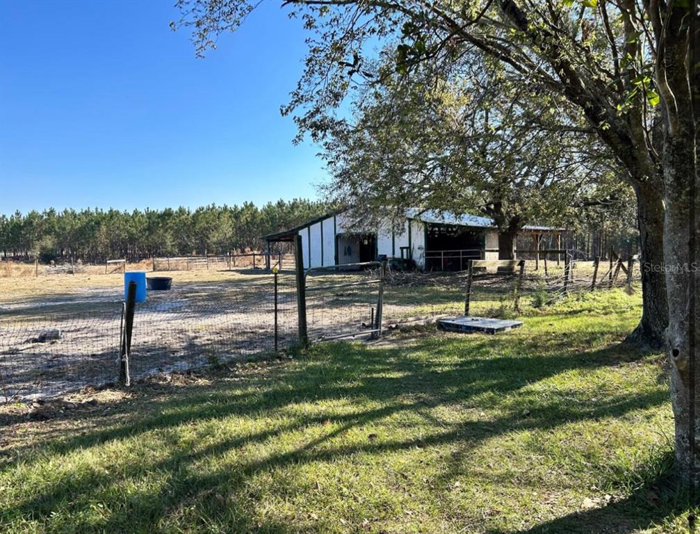 11475 167th Road Live Oak, FL 32060 - Photo 9 of 15 a swimming pool with lots of tress in the background