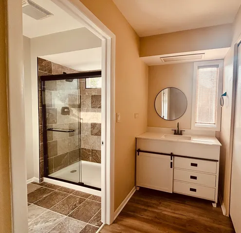 a bathroom with a sink a mirror and a shower