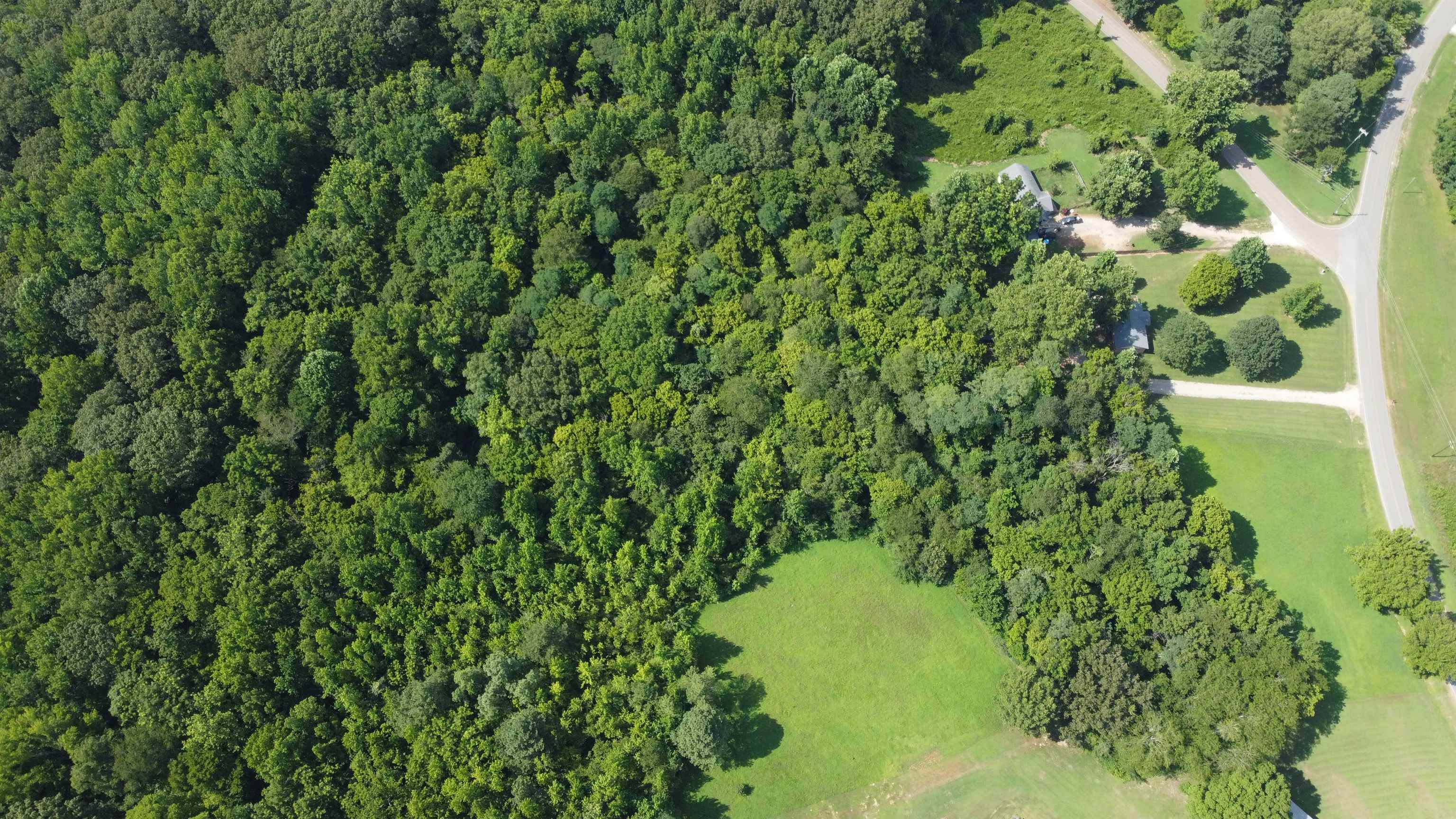 11-acres Lagrange Road Somerville, TN 38068 - Photo 4 of 9 a view of a garden