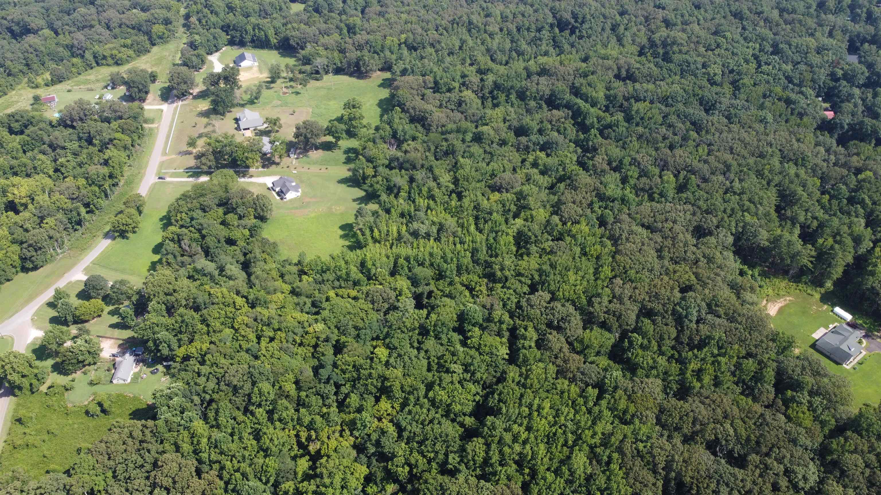 11-acres Lagrange Road Somerville, TN 38068 - Photo 6 of 9 a view of a forest