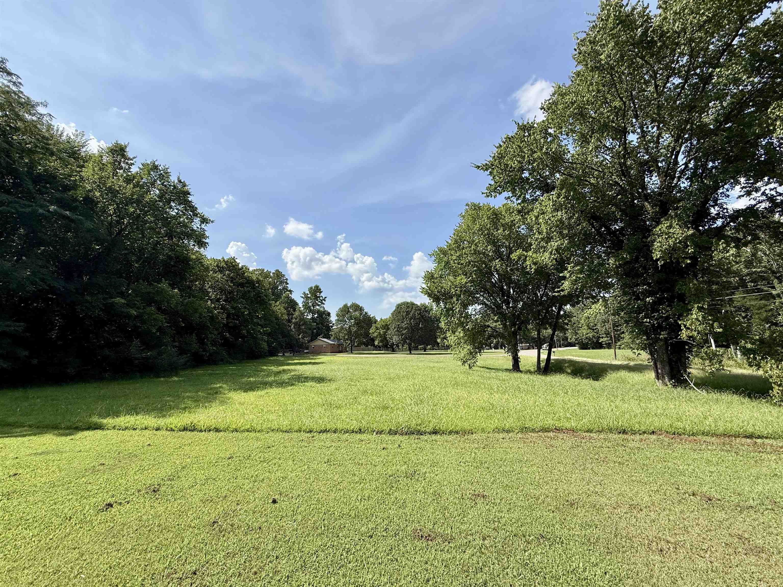 11-acres Lagrange Road Somerville, TN 38068 - Photo 7 of 9 a view of an outdoor space and a yard