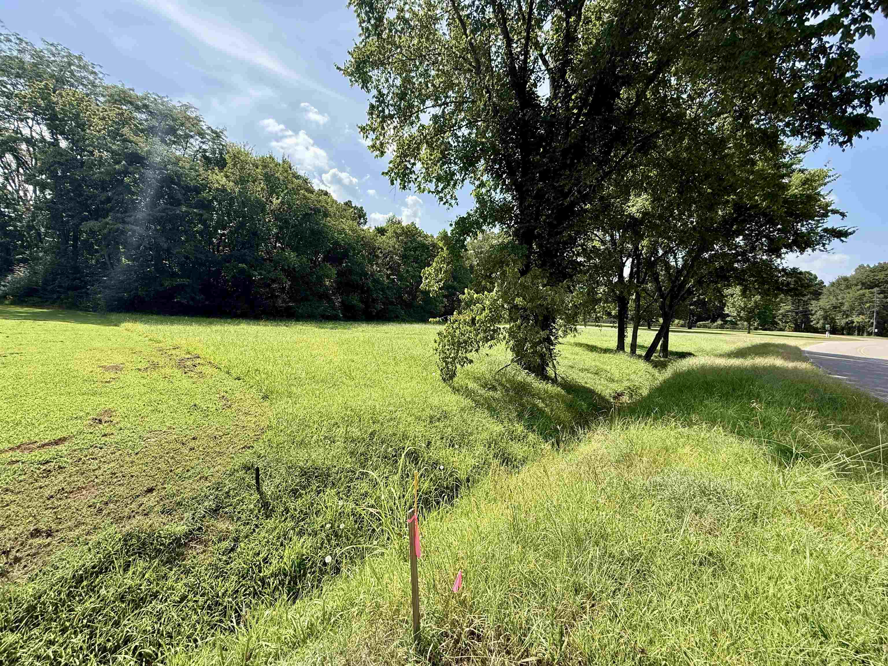 11-acres Lagrange Road Somerville, TN 38068 - Photo 8 of 9 a view of field with trees in the background