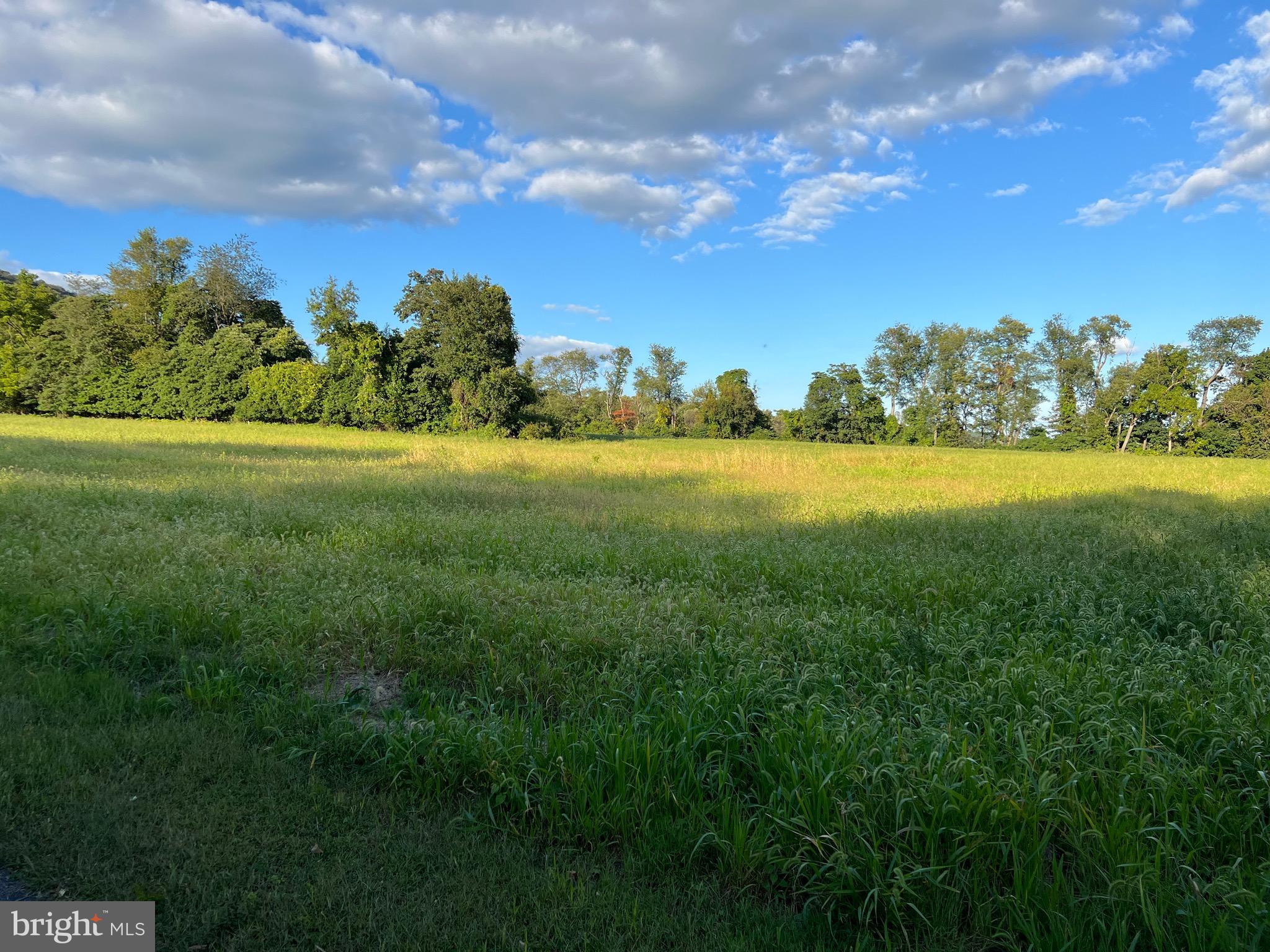 317 Machamer Road Douglassville, PA 19518 - Photo 3 of 5 a view of an outdoor space and yard