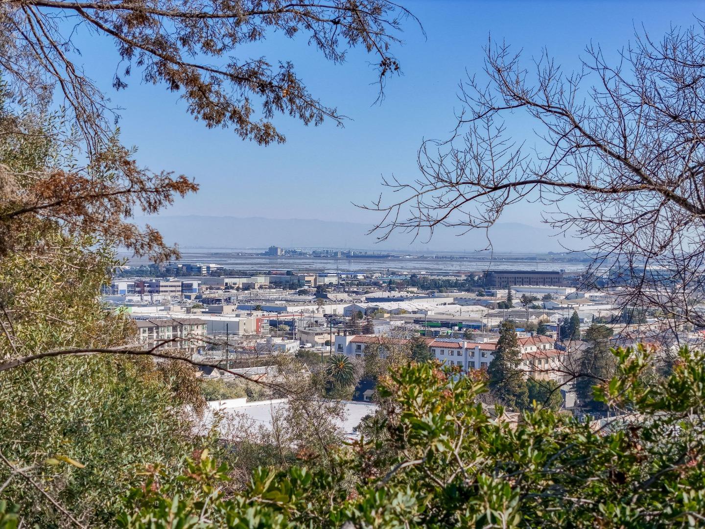 917 Holly Road Belmont, CA 94002 - Photo 13 of 82