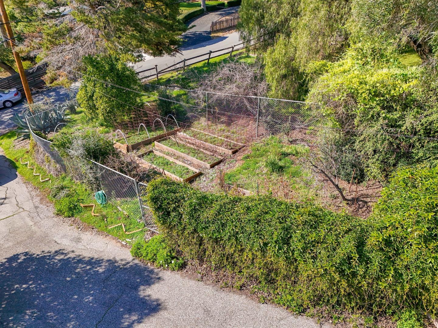 917 Holly Road Belmont, CA 94002 - Photo 3 of 82 a backyard of a house with a yard and outdoor seating