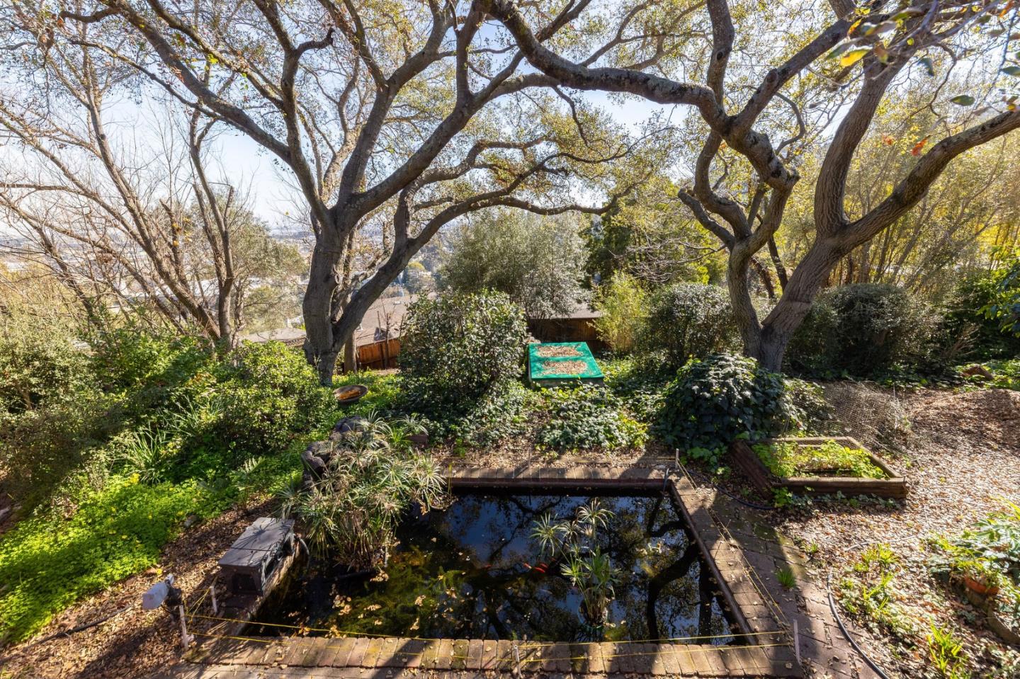 917 Holly Road Belmont, CA 94002 - Photo 36 of 82 a view of a backyard of the house