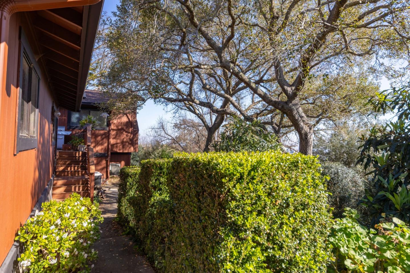 917 Holly Road Belmont, CA 94002 - Photo 43 of 82 a view of path along with trees