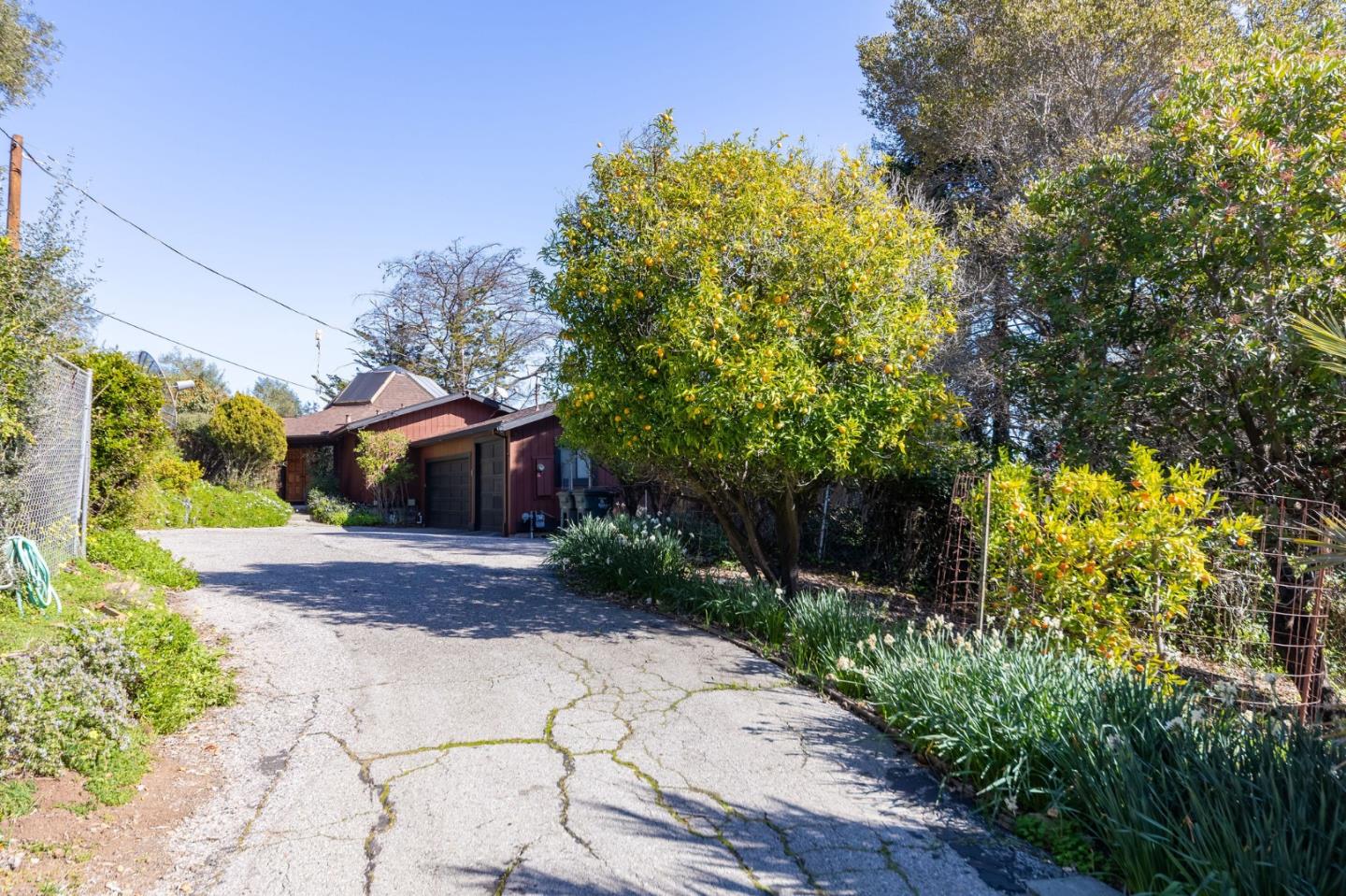 917 Holly Road Belmont, CA 94002 - Photo 5 of 82 a front view of a house with a yard and a garden