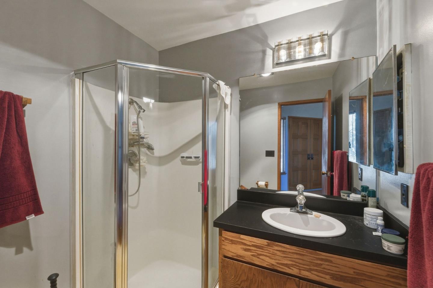 917 Holly Road Belmont, CA 94002 - Photo 55 of 82 a bathroom with a granite countertop sink shower and a mirror