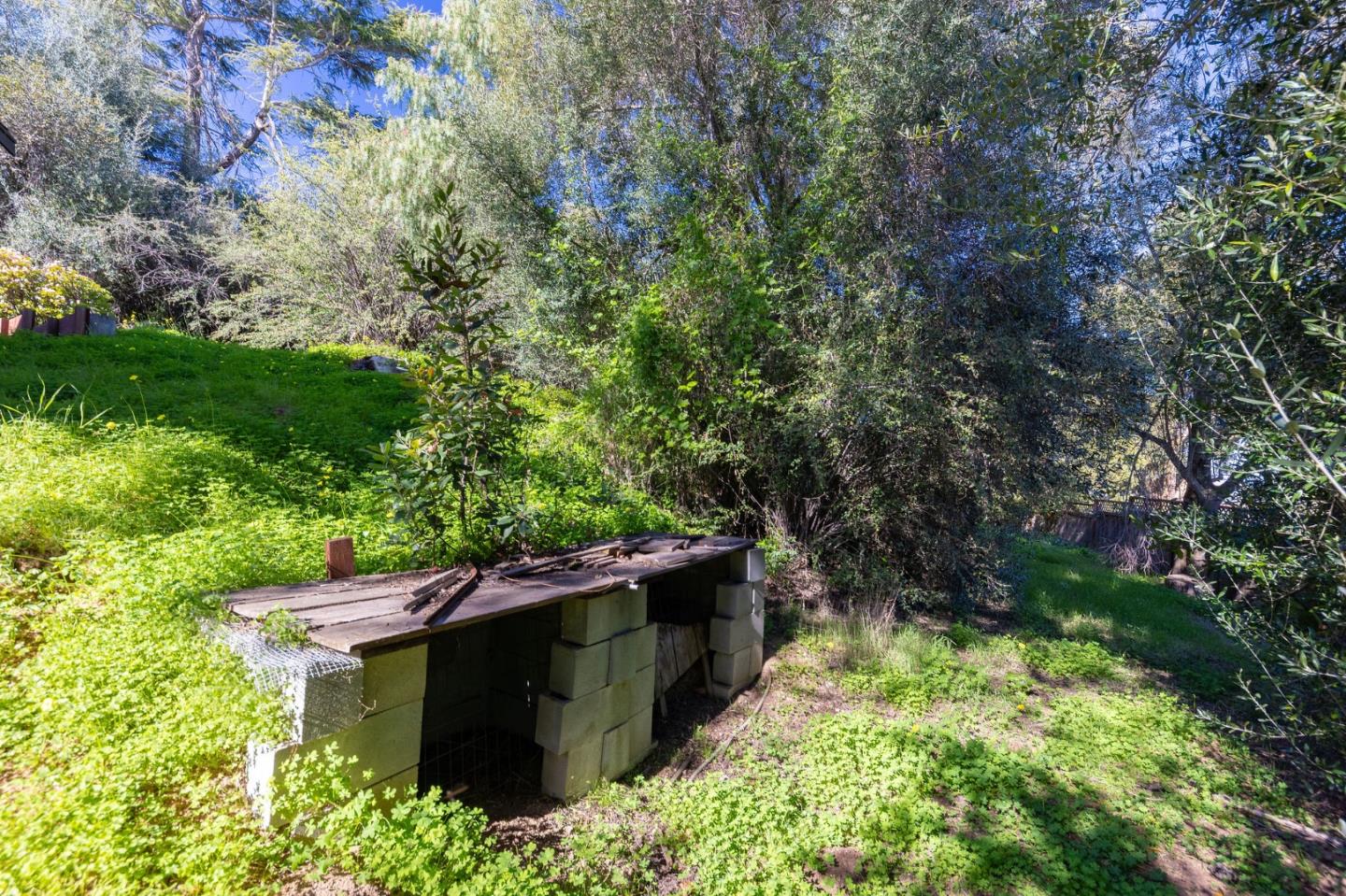 917 Holly Road Belmont, CA 94002 - Photo 79 of 82 a backyard of a house with lots of green space
