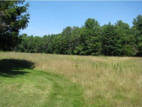 110 Old Greenfield Road Peterborough, NH 03458 - Photo 29 of 30 Gallery Image 29