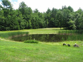 110 Old Greenfield Road Peterborough, NH 03458 - Photo 5 of 30 Gallery Image 5