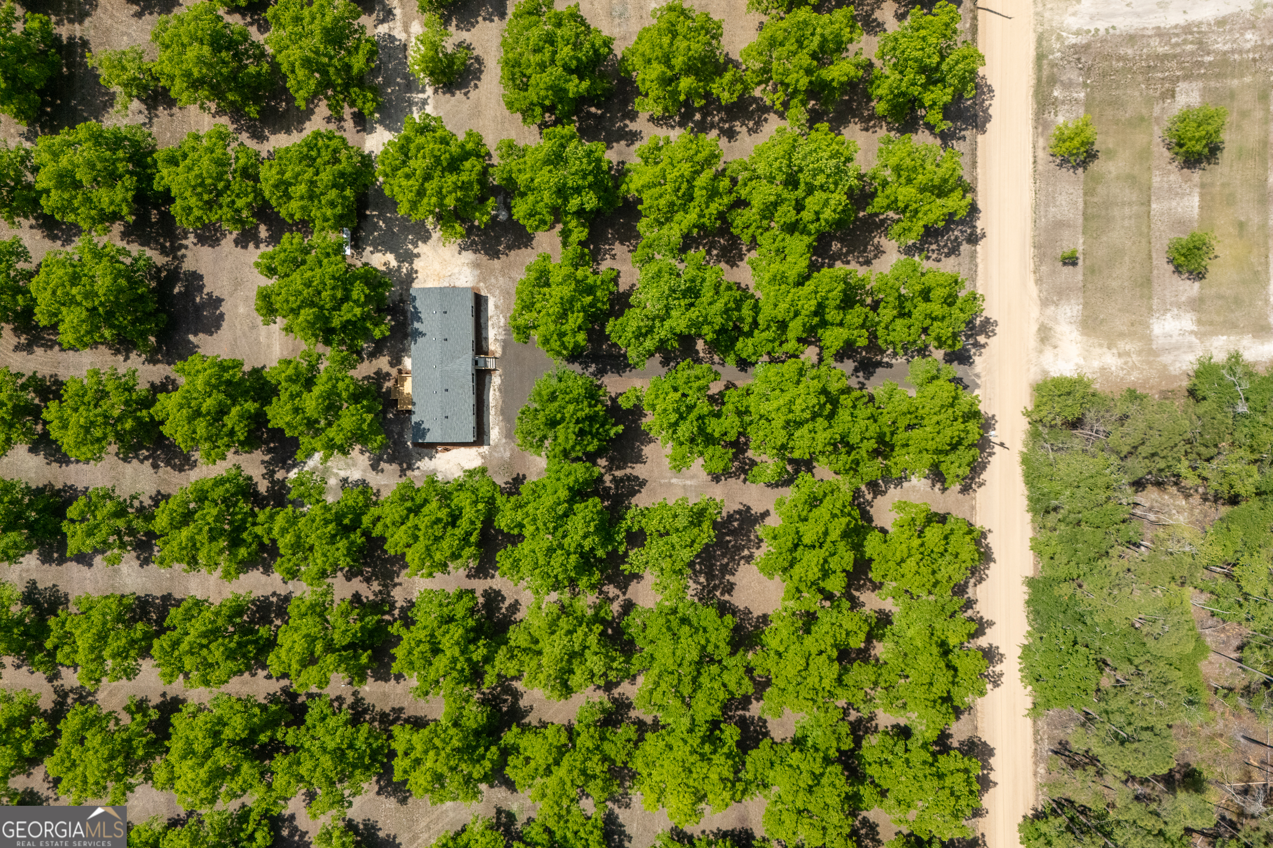 2853 Lake Lannell Road Odum, GA 31555 - Photo 26 of 29 a plant view