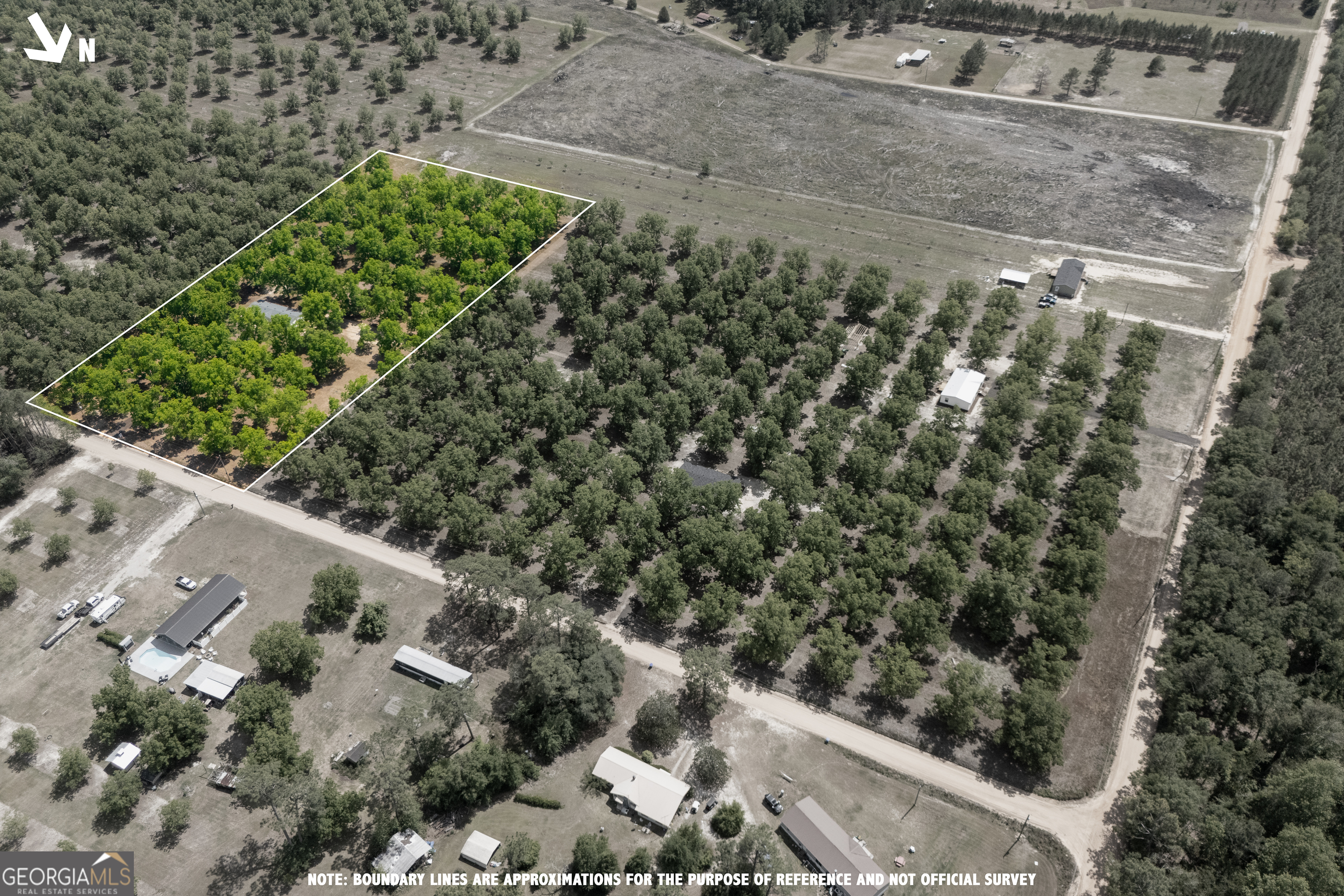 2853 Lake Lannell Road Odum, GA 31555 - Photo 29 of 29 a view of a yard with plants