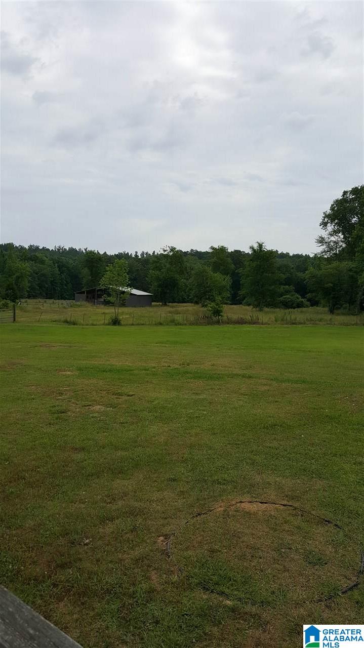505 Rock Crusher Road Steele, AL 35987 - Photo 9 of 26