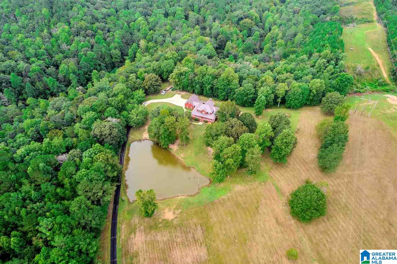 7911 Alliance Short Creek Road Mulga, AL 35118 - Photo 49 of 50